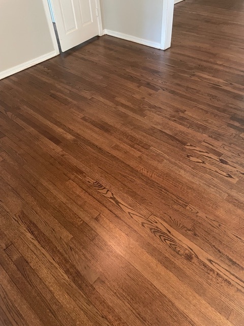 dark hardwood flooring with white door