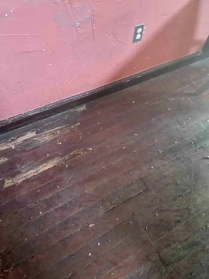 Hardwood Flooring Install