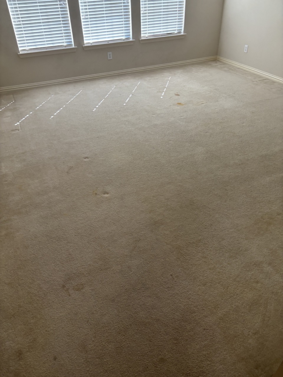 hardwood-flooring-before-installation-3